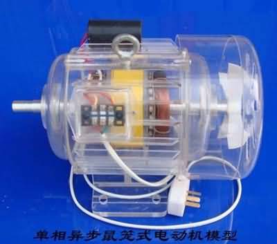 三相异步电动机模型，透明电机模型(图2)