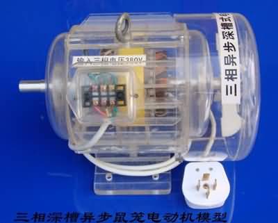 三相异步电动机模型，透明电机模型(图12)